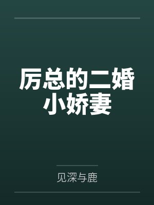厉总的二婚小娇妻封面
