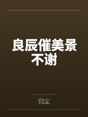 良辰催美景不谢封面