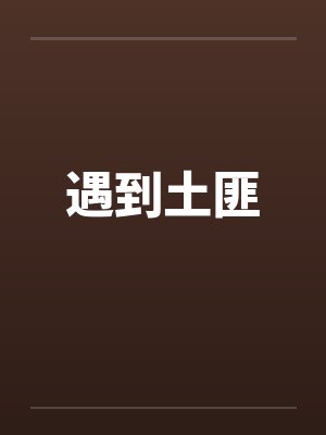 遇到土匪封面