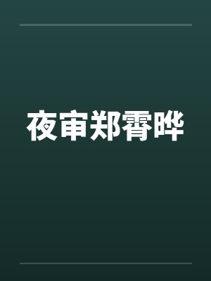 夜审郑霄晔封面