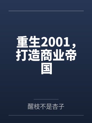 重生2001，打造商业帝国封面