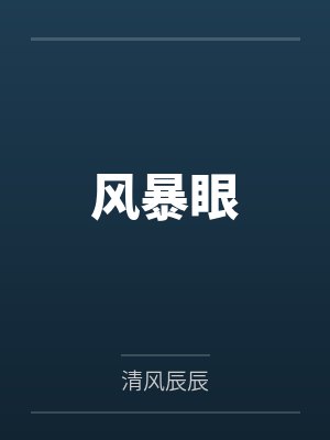 风暴眼封面