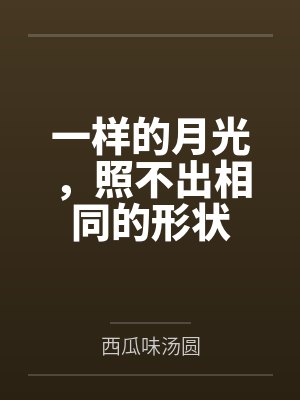 一样的月光,照不出相同的形状封面