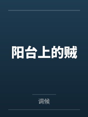 阳台上的贼封面