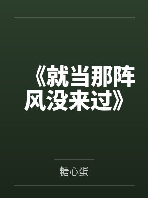 《就当那阵风没来过》封面