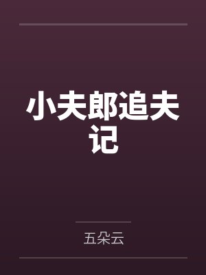小夫郎追夫记封面