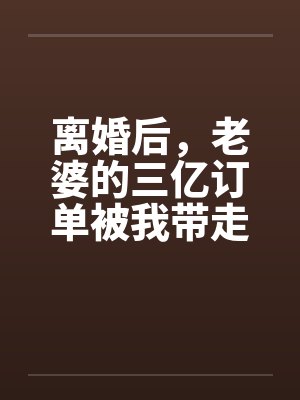 离婚后，老婆的三亿订单被我带走了封面