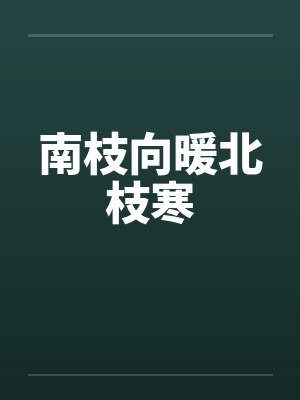 南枝向暖北枝寒封面