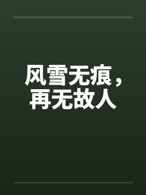 风雪无痕,再无故人封面