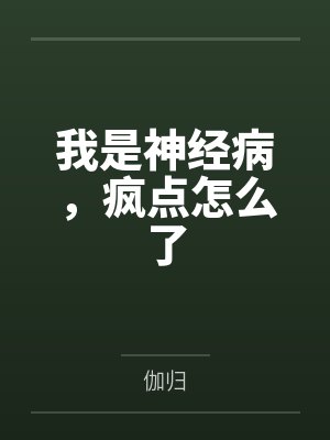我是神经病，疯点怎么了封面