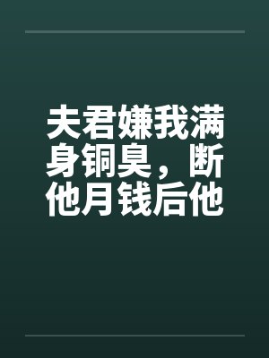 夫君嫌我满身铜臭,断他月钱后他跪求我发妻回心转意封面