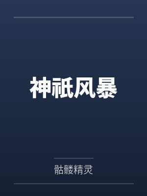 神祇风暴封面
