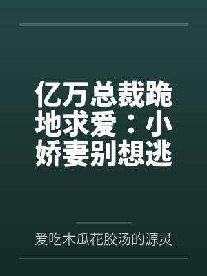 亿万总裁跪地求爱：小娇妻别想逃封面