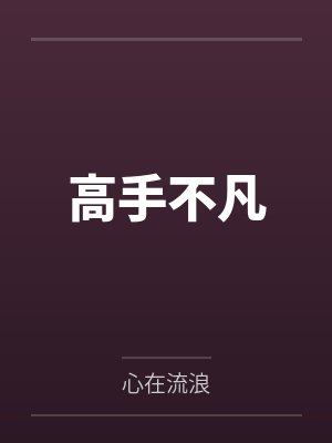 高手不凡封面