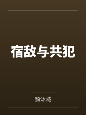 宿敌与共犯封面