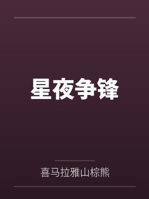 星夜争锋封面