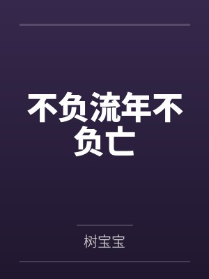 不负流年不负亡封面