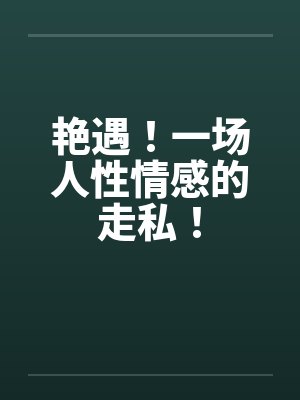 艳遇！一场人性情感的走私！封面