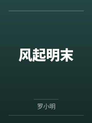 风起明末封面