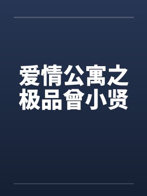 爱情公寓之极品曾小贤封面