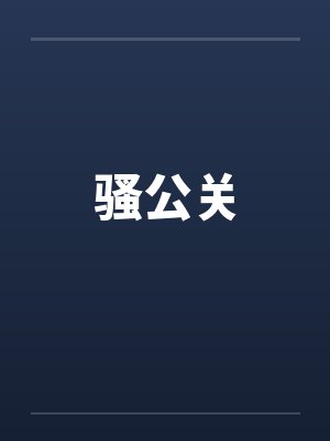 骚公关封面