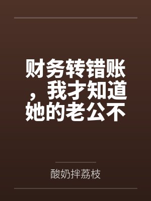 财务转错账,我才知道她的老公不是我封面