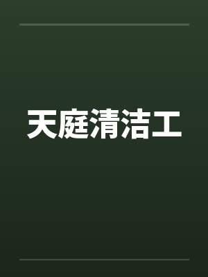 天庭清洁工封面