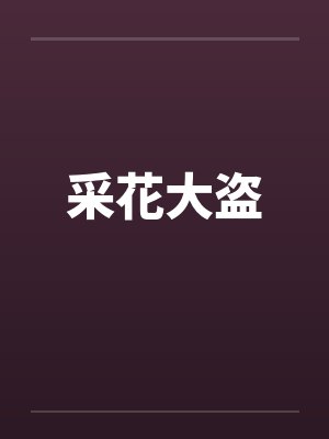 采花大盗封面