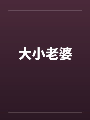 大小老婆封面