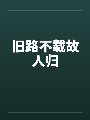 旧路不载故人归封面