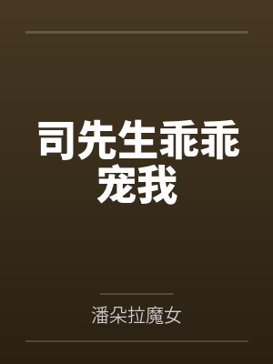 司先生乖乖宠我封面