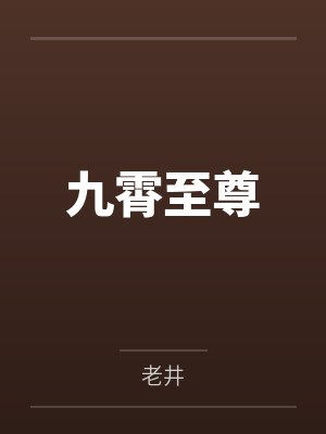 九霄至尊封面