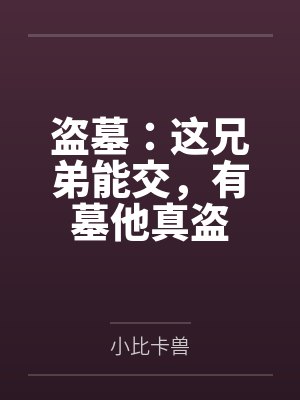 盗墓：这兄弟能交，有墓他真盗封面