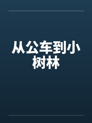 从公车到小树林封面