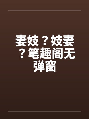 妻妓？妓妻？笔趣阁无弹窗封面