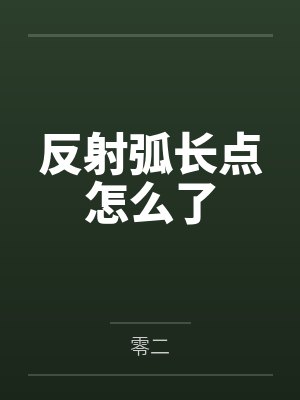 反射弧长点怎么了封面