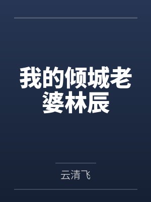 我的倾城老婆林辰封面