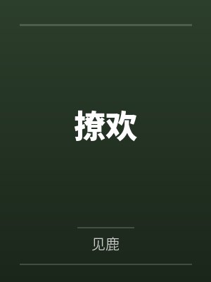 撩欢封面