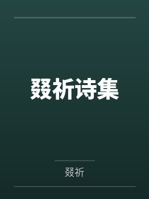 叕祈诗集封面