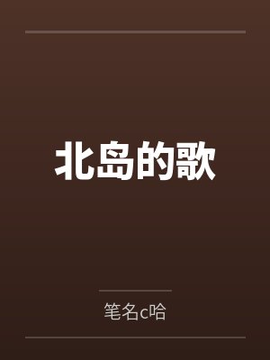 北岛的歌封面