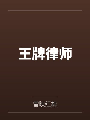 王牌律师封面