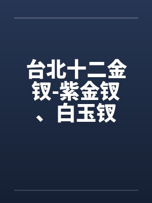台北十二金钗-紫金钗、白玉钗封面